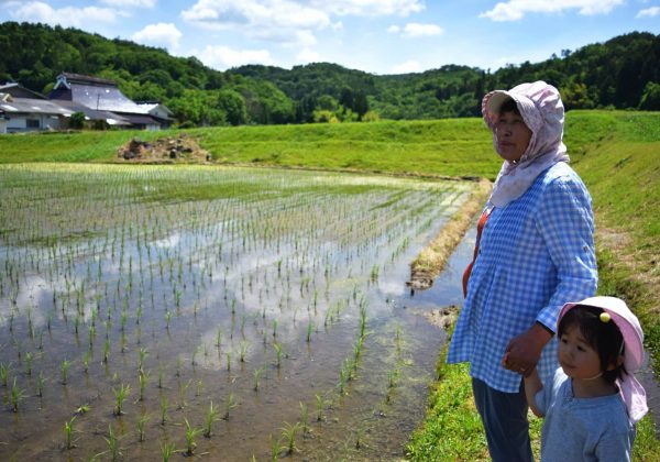 農村現場が開発してきた家族経営協定の特質　〜その多様性や普遍性〜